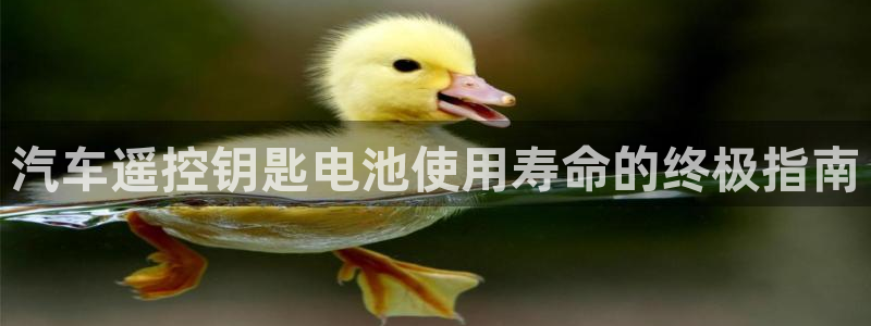 优发国际平台18岁能做吗