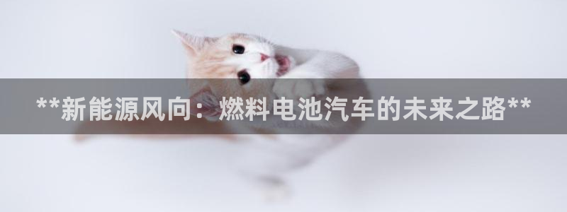 优发国际官网入口app下载苹果