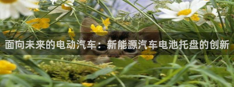 优发国际官网值是多少