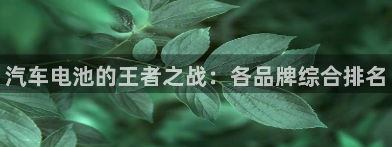 优发国际手机版客户端下载
