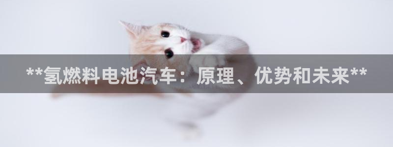 优发国际电话