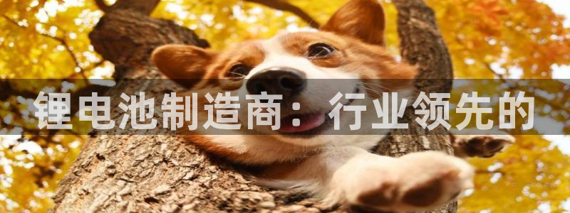 优发国际
