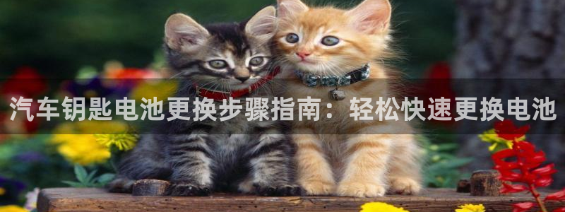 优发国际网官网17o8