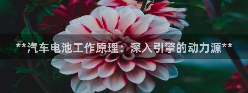 优发国际线上娱官网