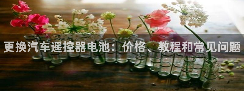 优发国际官网入口app下载安装