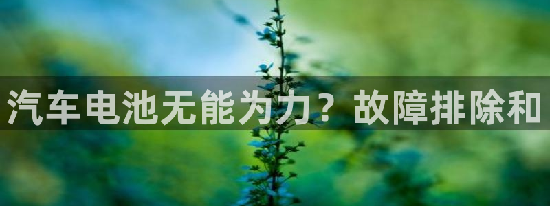 优发国际app