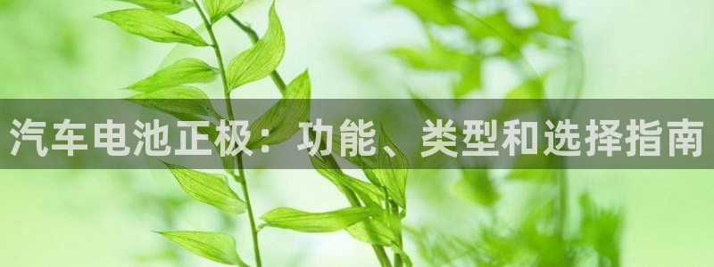 优发国际电话