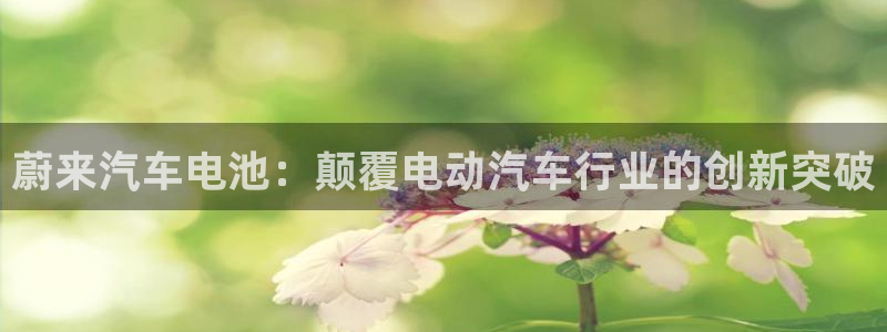 优发国际youfa966