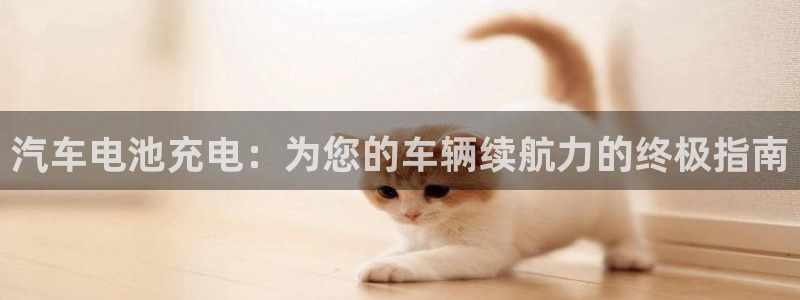优发国际官方网手机版下载安装