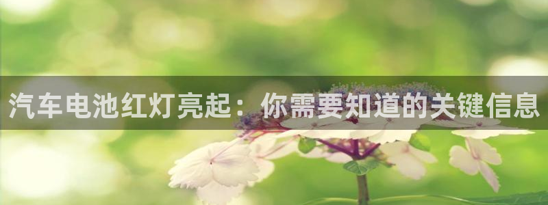 优发国际手机客户端下载安卓