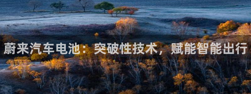 优发国际平台u8怎么样可靠吗