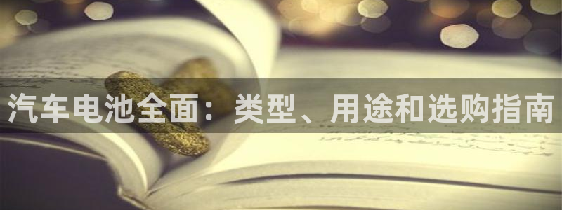 优发国际手机客户端下载安装不了：汽车电池全面：类型、用途和选购指南