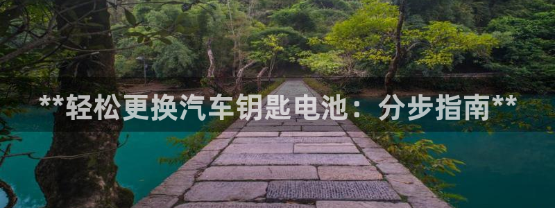优发国际app登录不了：**轻松更换汽车钥匙电池：分步指南**
