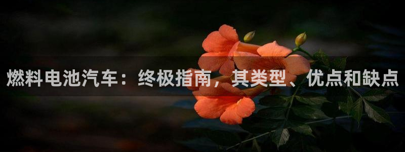 优发国际平台网站