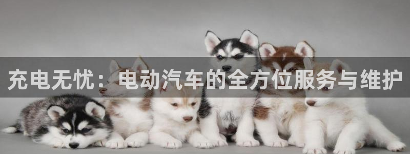 优发国际游戏n：充电无忧：电动汽车的全方位服务与维护