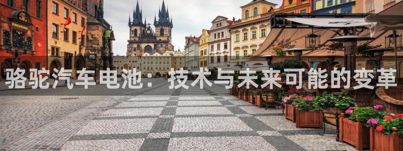 优发国际官网手机版app：骆驼汽车电池：技术与未来可能的变革