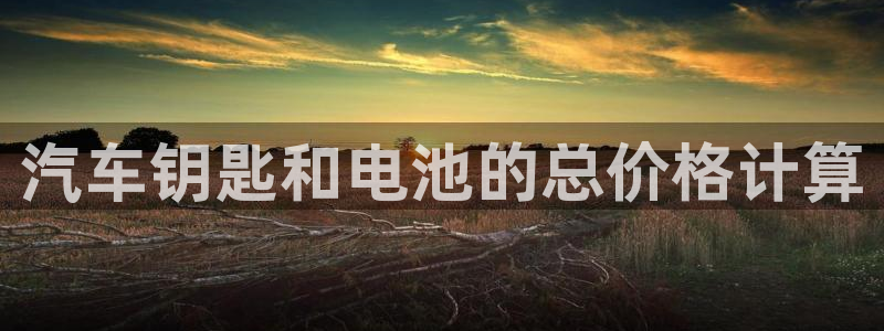 优发国际官网手机号：汽车钥匙和电池的总价格计算