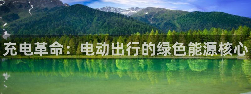 优发国际网官网址是多少：充电革命：电动出行的绿色能源核心