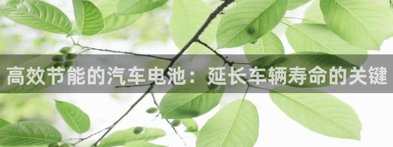 优发国际首页首页y6：高效节能的汽车电池：延长车辆寿命的关键