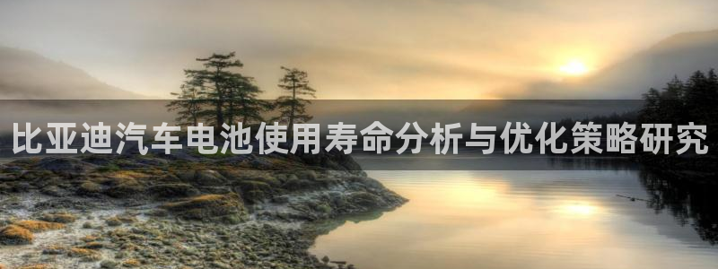 优发国际网官网：比亚迪汽车电池使用寿命分析与优化策略研究