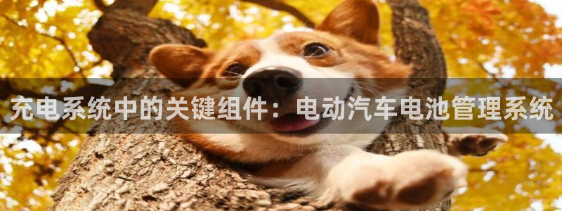 优发国际官网下载安装苹果