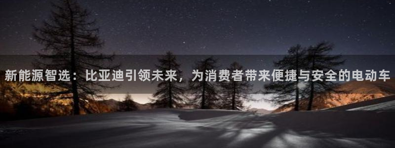优发国际官网下载安装：新能源智选：比亚迪引领未来，为消费者带来便捷与安全的电动车