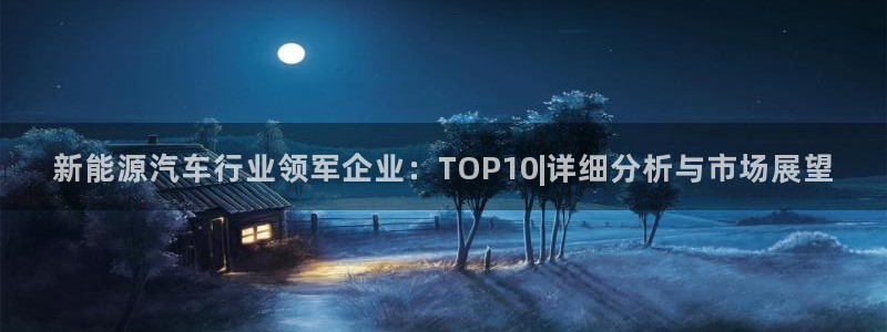 优发国际游戏17岁能玩吗：新能源汽车行业领军企业：TOP10|详细分析与市场展望