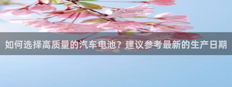 优发国际官网手机号：如何选择高质量的汽车电池？建议参考最新的生产日期
