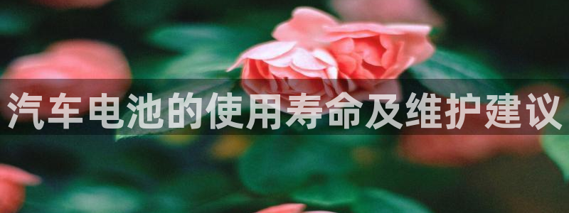 优发国际安卓版下载安装苹果：汽车电池的使用寿命及维护建议