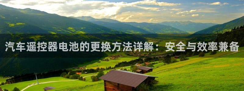 优发国际手机版客户端下载：汽车遥控器电池的更换方法详解：安全与效率兼备