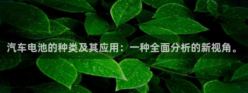 优发国际网官网17o8：汽车电池的种类及其应用：一种全面分析的新视角。