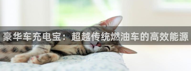 优发国际官方网：豪华车充电宝：超越传统燃油车的高效能源