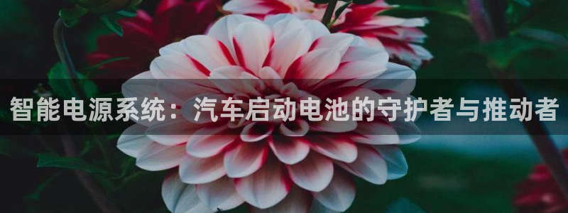 优发国际vip网址：智能电源系统：汽车启动电池的守护者与推动者