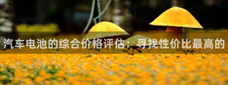 优发国际官网下载app：汽车电池的综合价格评估：寻找性价比最高的