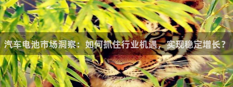 优发国际首页：汽车电池市场洞察：如何抓住行业机遇，实现稳定增长？
