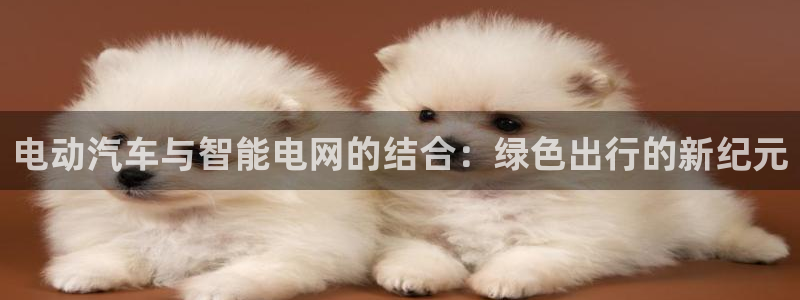优发国际官网手机版app：电动汽车与智能电网的结合：绿色出行的新纪元