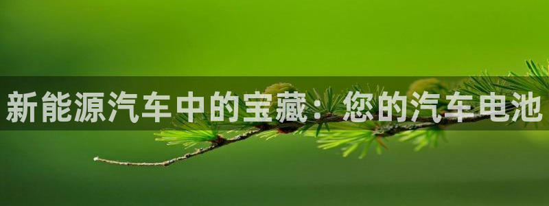 优发国际登录r8：新能源汽车中的宝藏：您的汽车电池