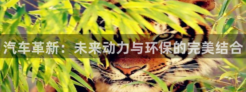 优发国际官方网手机版：汽车革新：未来动力与环保的完美结合