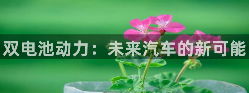 优发国际VIP网址：双电池动力：未来汽车的新可能