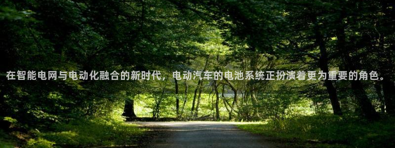 优发国际手机app下载安装苹果：在智能电网与电动化融合的新时代，电动汽车的电池系统正扮演着更为重要的角色。
