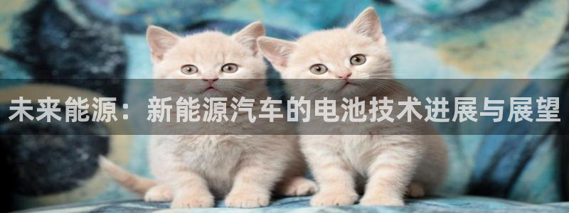 优发国际游戏n