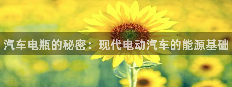 优发国际官方下载app