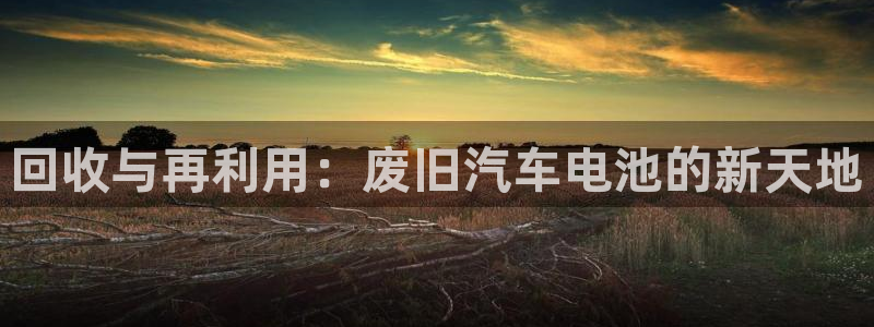 优发国际官网入口app下载苹果：回收与再利用：废旧汽车电池的新天地