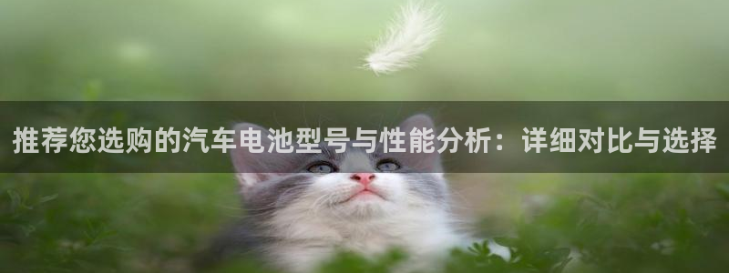 优发国际平台网站：推荐您选购的汽车电池型号与性能分析：详细对比与选择