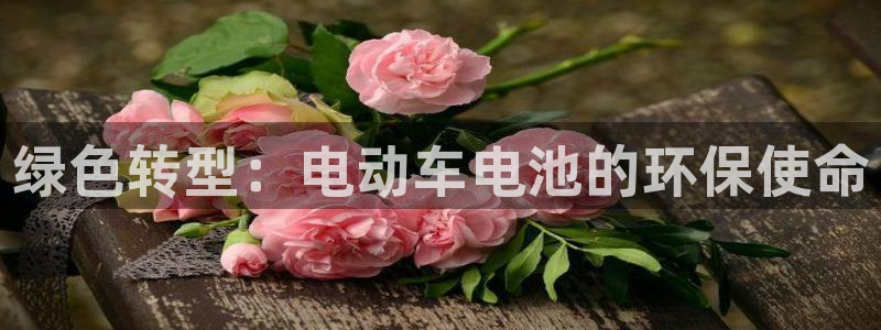 优发国际手机客户端下载不了：绿色转型：电动车电池的环保使命