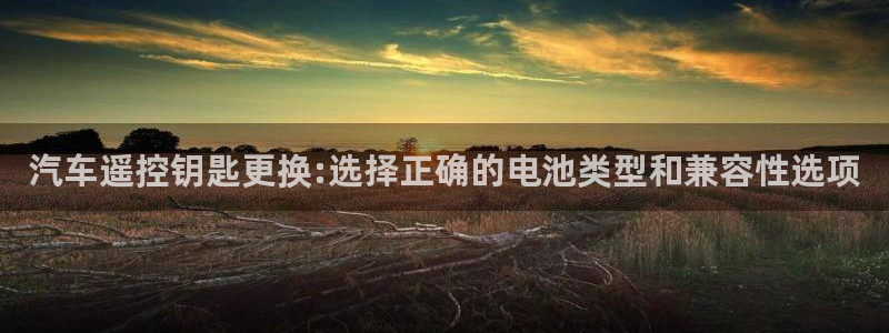 优发国际登录首页官网：汽车遥控钥匙更换:选择正确的电池类型和兼容性选项
