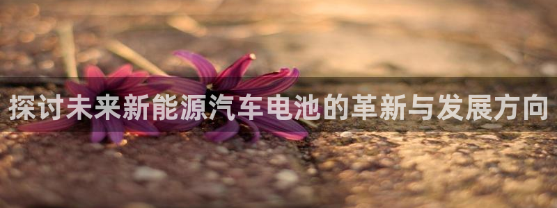 优发国际是大平台吗：探讨未来新能源汽车电池的革新与发展方向