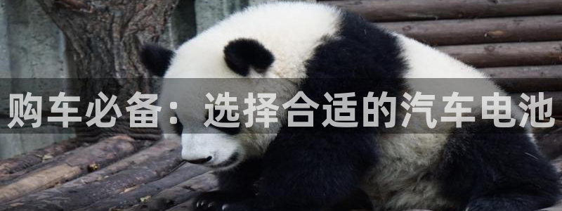 优发国际手机客户端下载：购车必备：选择合适的汽车电池