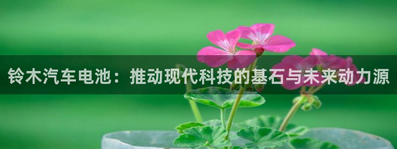 优发国际登录k8：铃木汽车电池：推动现代科技的基石与未来动力源