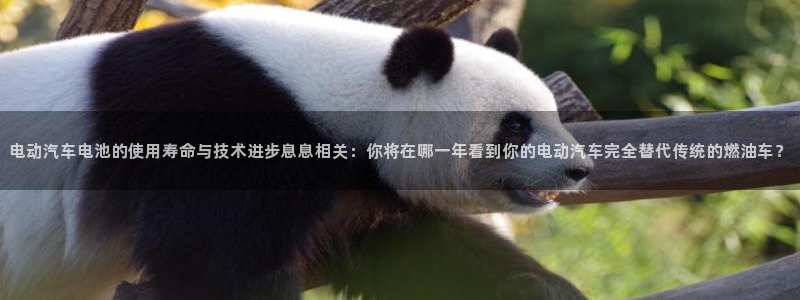 优发国际娱乐官网多少?：电动汽车电池的使用寿命与技术进步息息相关：你将在哪一年看到你的电动汽车完全替代传统的燃油车？